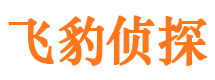 特克斯寻人公司